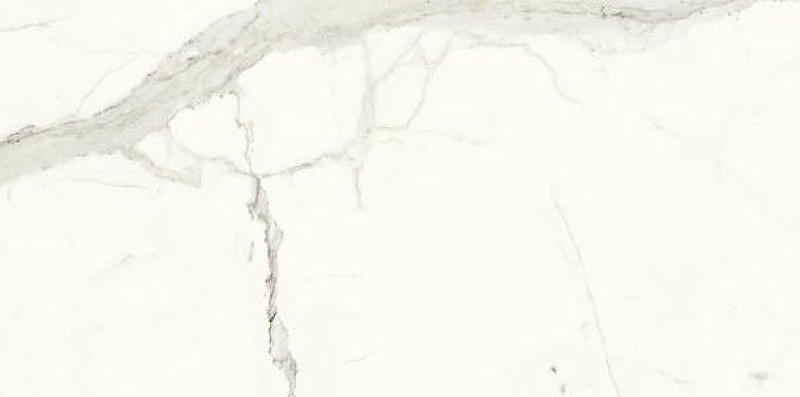 Керамогранит Ariostea Marmi Classici Bianco Calacatta luc rett PL612527 60x120 см керамогранит ariostea marmi classici travertino santa caterina soft rett p612431 60x120 см