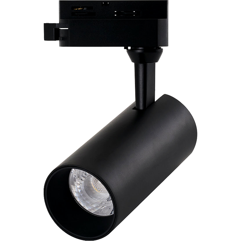 Трековый светильник Artelamp Regulus A4568PL-1BK Черный