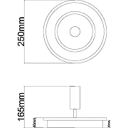 Потолочный светильник Artelamp Tommy A2607AP-20BK Белый Черный-3