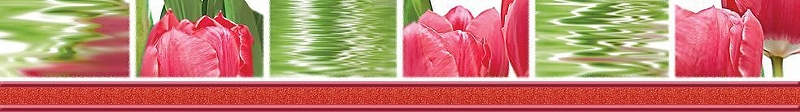 Керамический бордюр Нефрит Керамика Фреш Тюльпаны 05-01-1-77-05-47-160-0 7х50 см