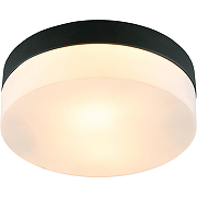 Потолочный светильник Artelamp Aqua-Tablet A6047PL-1BK Белый Черный