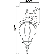 Настенный светильник Artelamp Atlanta A1042AL-1BG Прозрачный Старая медь-4