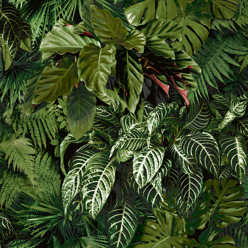 Обои Grandeco Ciara A 58601 Винил на флизелине (0,53*10,05) Зеленый, Листья