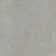 Керамогранит TAU Ceramica Ceppo Di Gre Silver 09535-0001 120х120 см