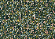 Обои Grandeco Ciara A 64102 Винил на флизелине (0,53*10,05) Разноцветный, Цветы-1