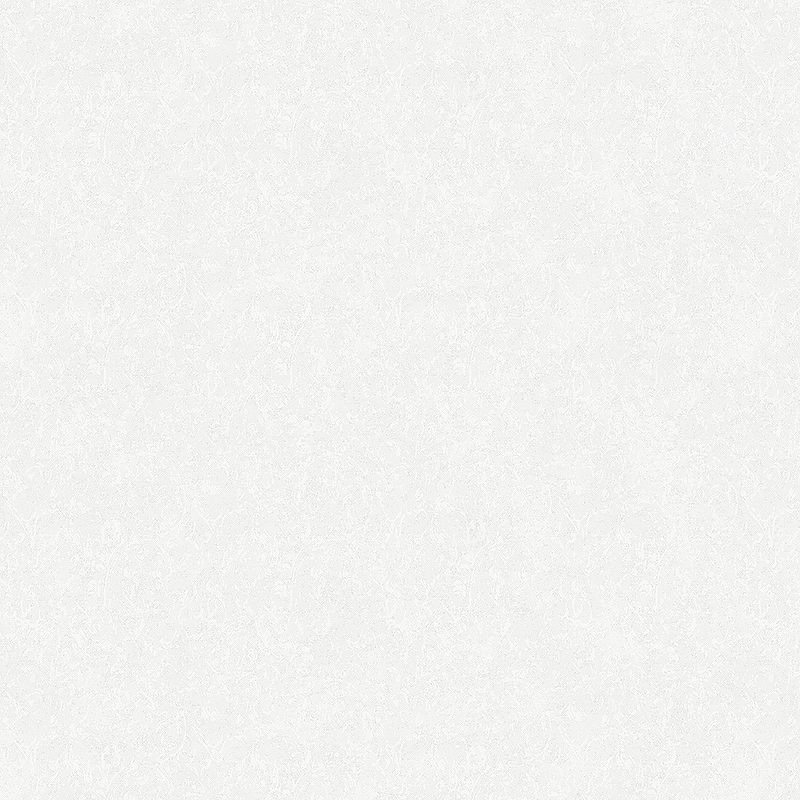 цена Обои Grandeco Tango R126101 Винил на флизелине (1,06*10,05) Белый/Серебряный, Орнамент/Штукатурка