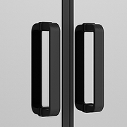 Душевая дверь Ambassador Forsa 100 17022216ABB профиль Черный стекло тонированное-1