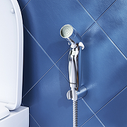 Гигиенический душ Damixa Shower program 760550100 Хром-1