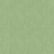 Обои Yien Feerie 3502-12 Винил на флизелине (1,06*10) Зеленый, Штукатурка