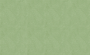 Обои Yien Feerie 3502-12 Винил на флизелине (1,06*10) Зеленый, Штукатурка-1
