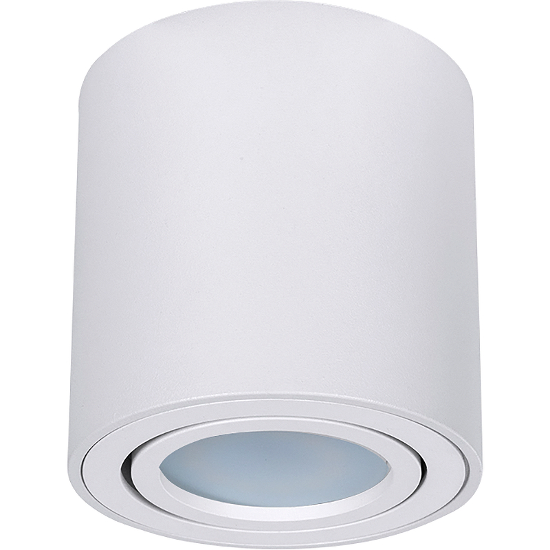 Потолочный светильник Artelamp Beid A1513PL-1WH Белый
