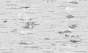 Обои Accento Meet Point 285307 Винил на флизелине (1,06*10,05) Серый/Черный, Геометрия/Горох/Линии-1