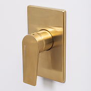 Гигиенический душ со смесителем WasserKRAFT А55094 Золото матовое-7