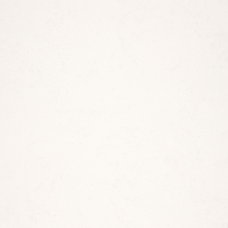 Обои Fipar Modelli Magici R 11580 Винил на флизелине (1,06*10,05) Белый, Штукатурка