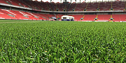 Спортивная искусственная трава Desoma Grass Stem 40 2х40 м-3