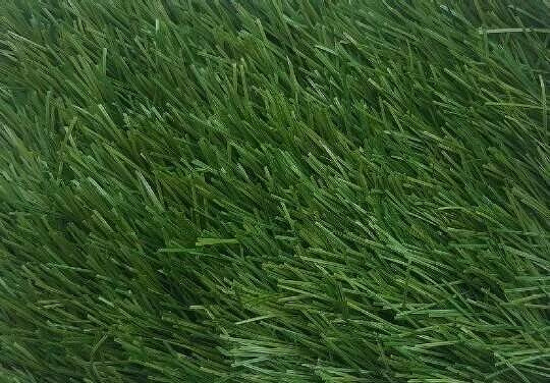 Спортивная искусственная трава Desoma Grass Stem 60 2х40 м фотографии