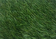 Спортивная искусственная трава Desoma Grass Stem 60 2х40 м