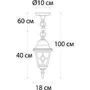 Подвесной светильник Artelamp Madrid A1541SO-1BN Прозрачный Черный с золотом-1