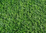 Искусственная трава Wuxi Salg 2516  1х25 м