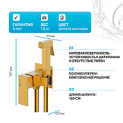 Гигиенический душ со смесителем WasserKRAFT A71838 Золото матовое-1