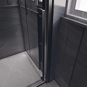 Душевая дверь Veconi Premium Trento PTD-30B 120 PTD30-B-120-01-C4 профиль Черный матовый стекло прозрачное-3
