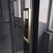 Душевая дверь Veconi Premium Trento PTD-40G 120 PTD40-G-120-01-C4 профиль Брашированное золото стекло прозрачное-3