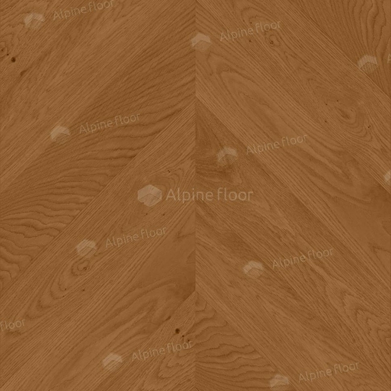   Alpine Floor