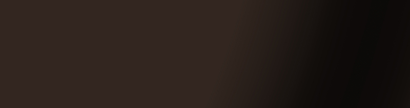 Клинкер Керамин Амстердам Шейд коричнево-черный СК000041109 6,5х24,5 см