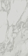 Керамогранит Edilcuoghi Edilgres Italian Marble Im Arabesque White Polished n149498 60х120 см