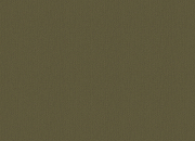 Обои Zambaiti Parati Savana 77511 Винил на флизелине (0,53*10,05) Зеленый, Линии/Рогожка-1