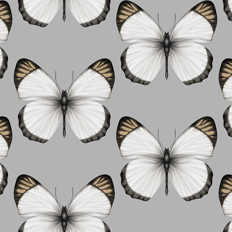 Обои Andrea Rossi Cheradi 54401-6 Винил на флизелине (1,06*10,05) Серый, Бабочки