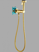 Гигиенический душ со смесителем ALMAes Agata AL-877-08 Золото-1