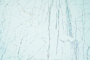 Виниловый ламинат Alpendorf Crystal LFX-001 Монпелье 1168х292х4,2 мм