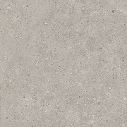 Керамогранит Kerama Marazzi Риккарди серый светлый матовый обрезной SG653720R 60х60 см