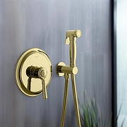 Гигиенический душ со смесителем Aquatek Классик AQ1519PG Полированное золото-3