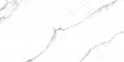 Керамогранит Fanal Carrara NPlus 33 60х120 см-1