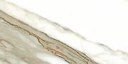 Керамогранит Fanal Calacatta NPlus 33 60х120 см-8